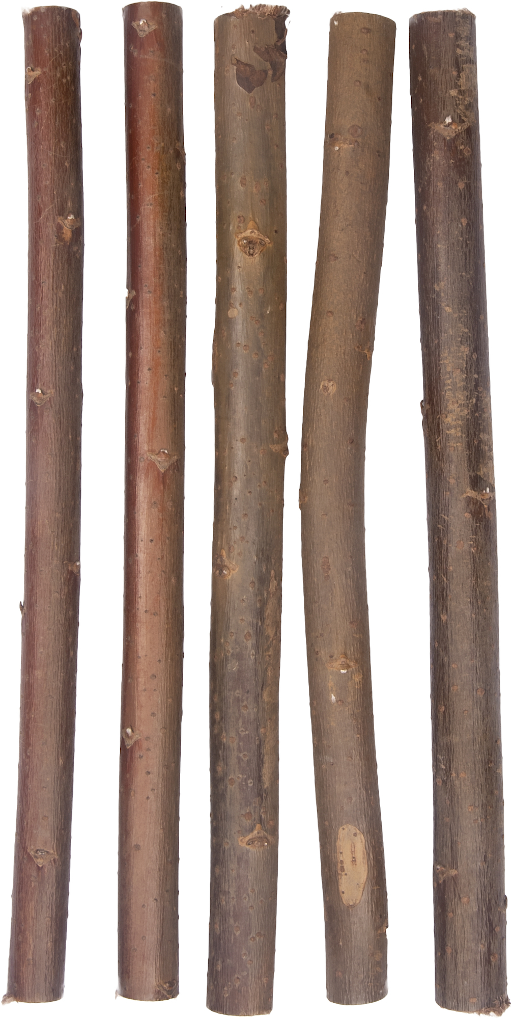 Flamingo Nibble wood 