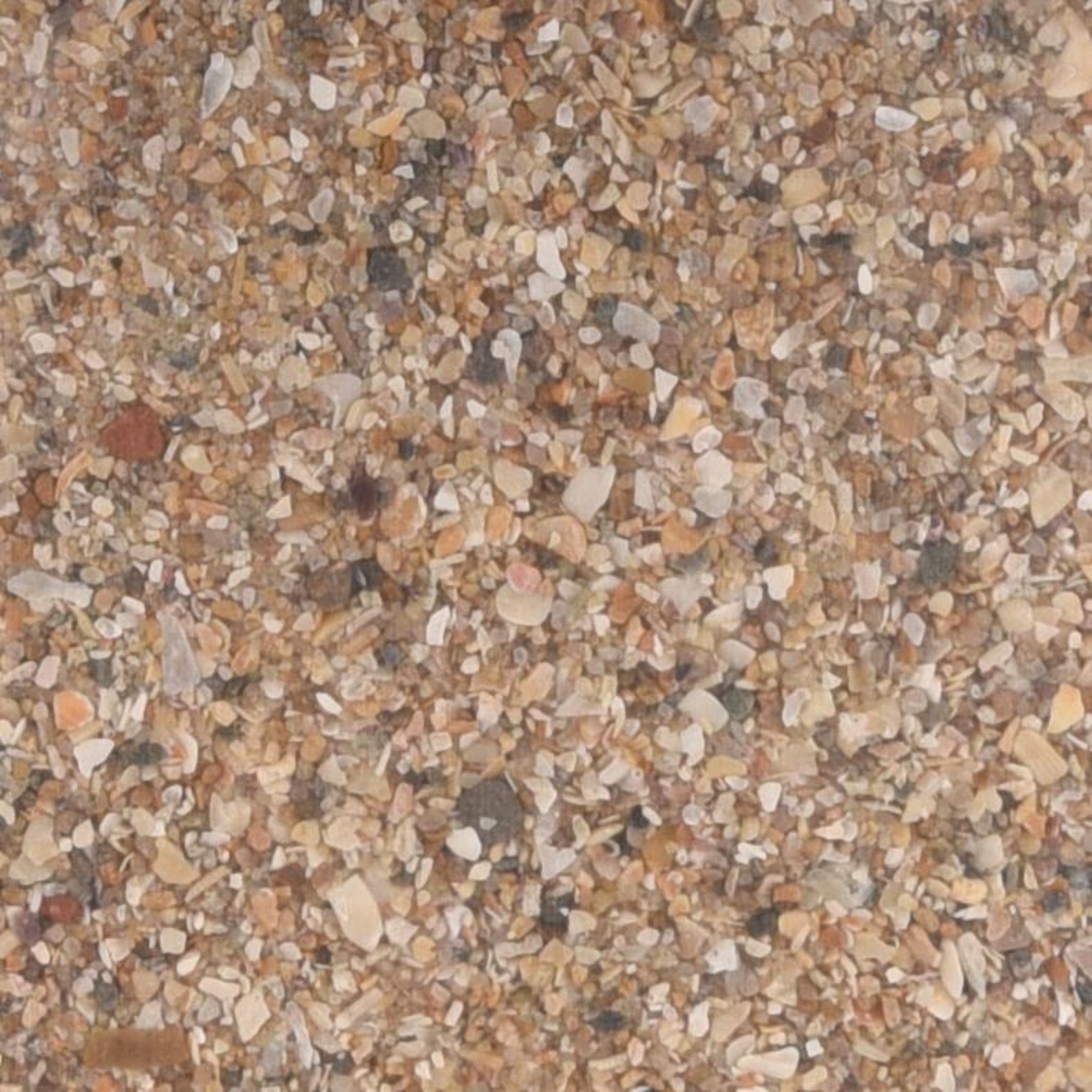 Flamingo Shell sand Anise Krusta Brown