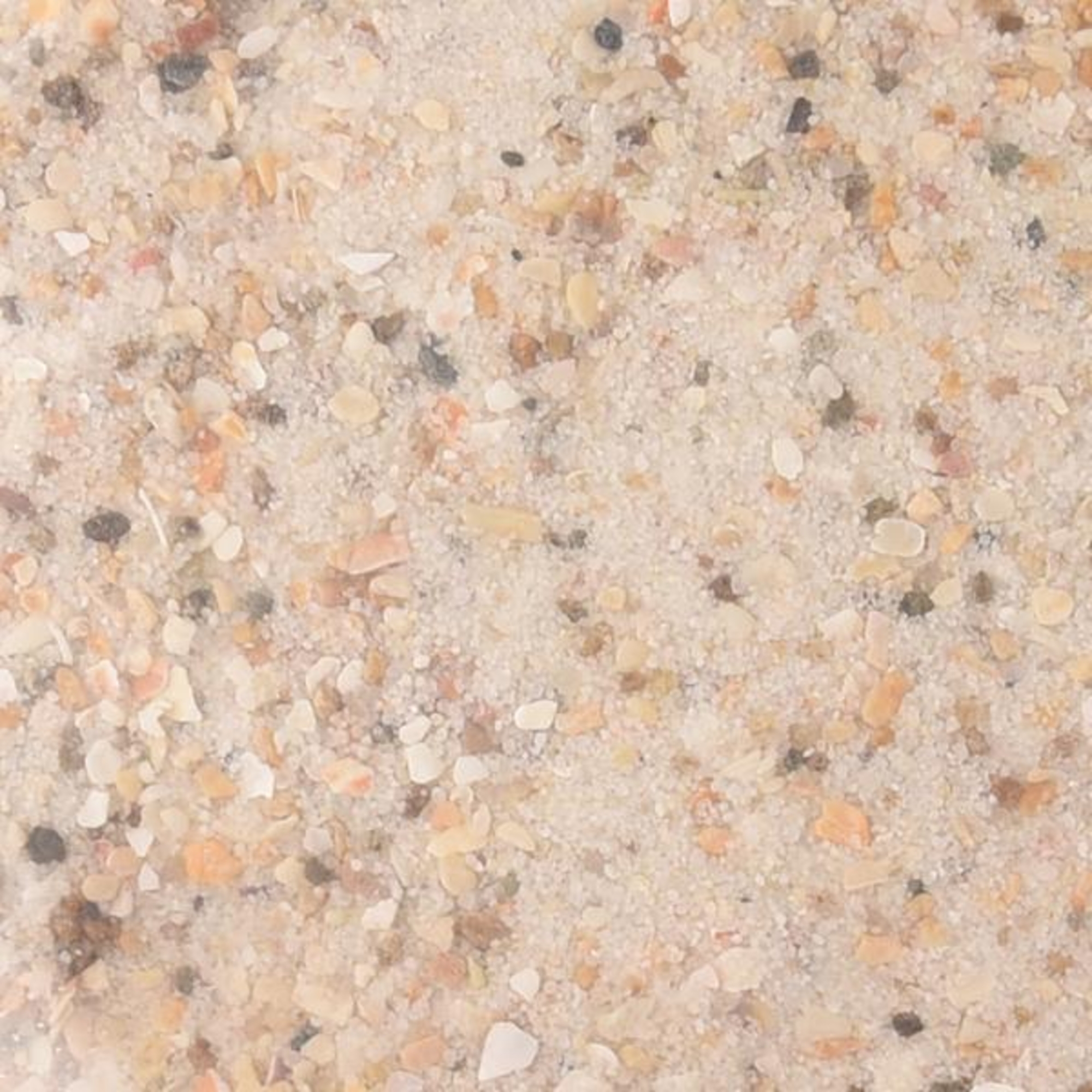 Flamingo Shell sand Anise White