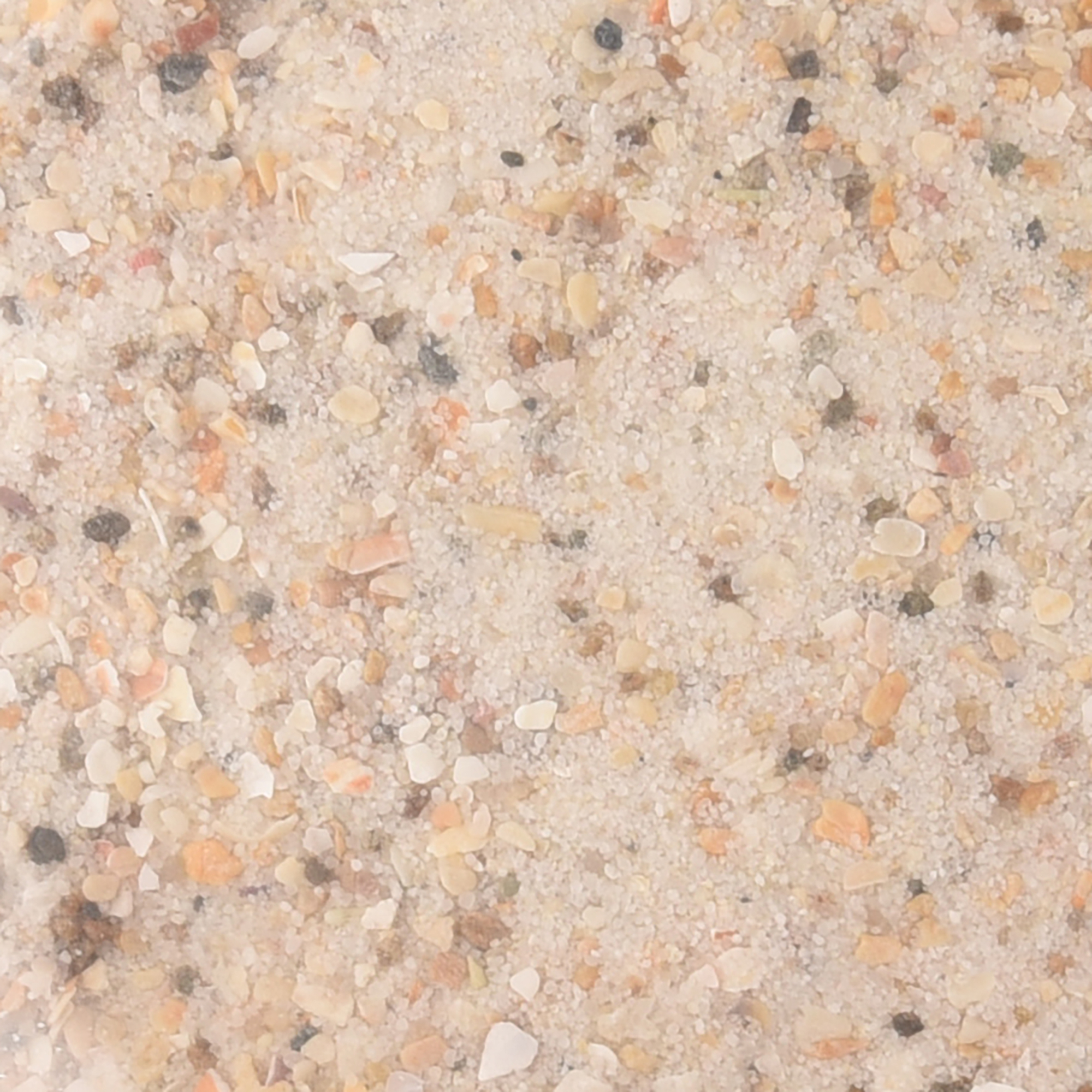 Flamingo Shell sand Anise White