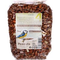 Flamingo Four Seasons  Arachidi sgusciate - Uccelli da esterno