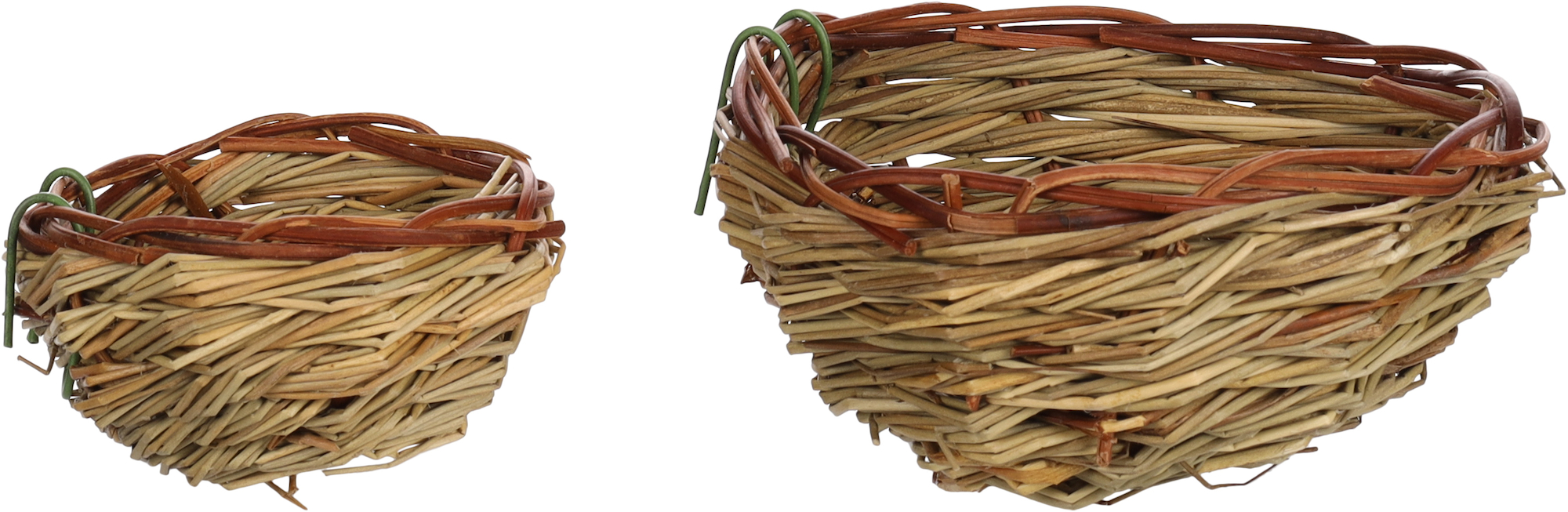 Flamingo Breeding nest Taupo - Grass