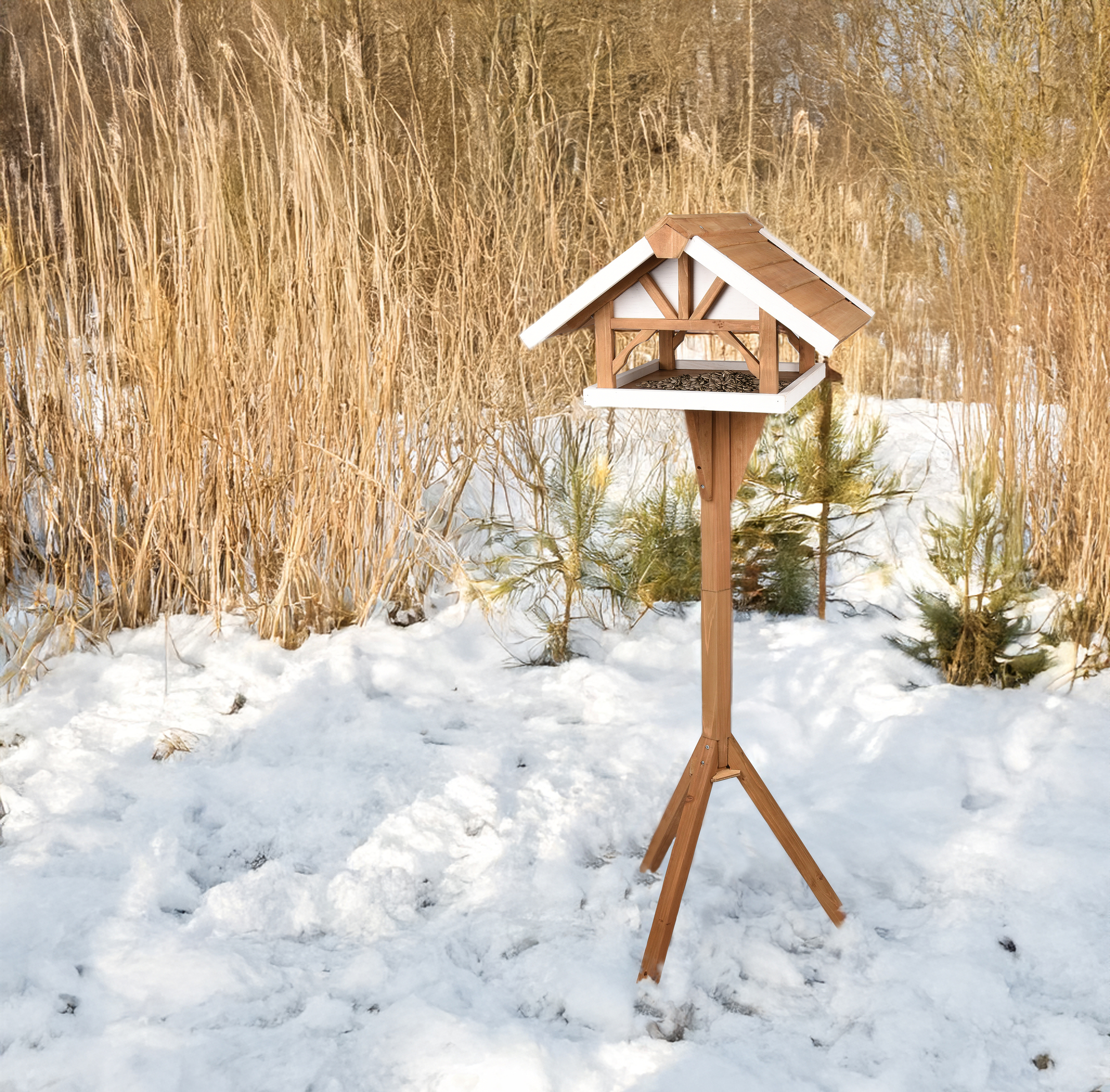 Flamingo Four Seasons  Zonnebloempitten - Buitenvogels
