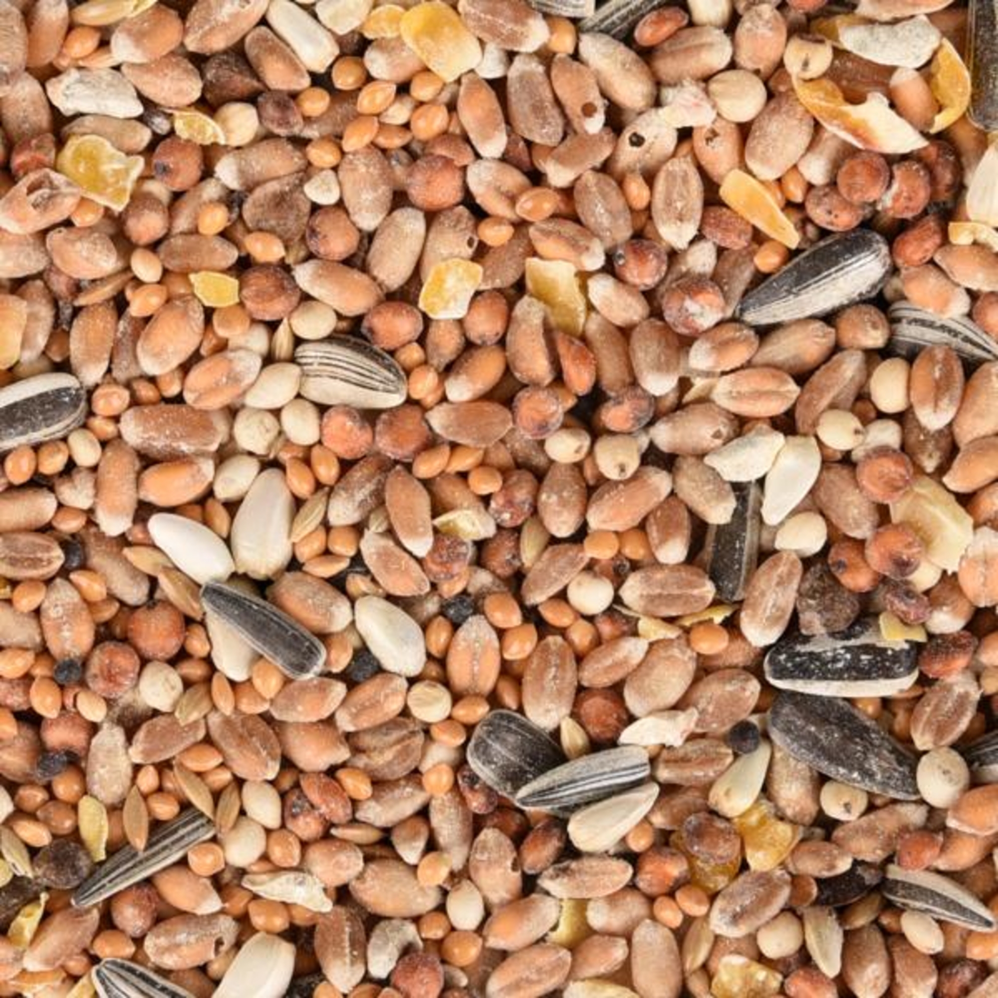 Flamingo Four Seasons  Seed mixture - Birds living outdoors