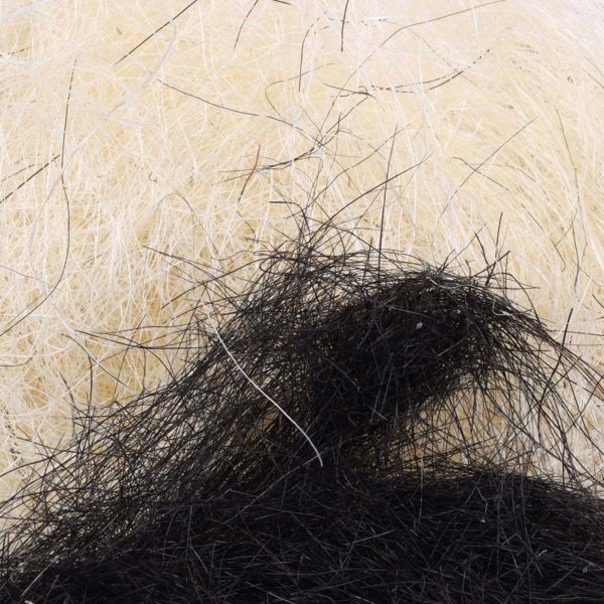 Flamingo Nesting material Abita - Mix