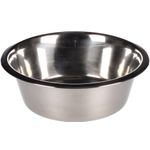 Feeding and drinking bowl NR3 Silver - Stainless steel