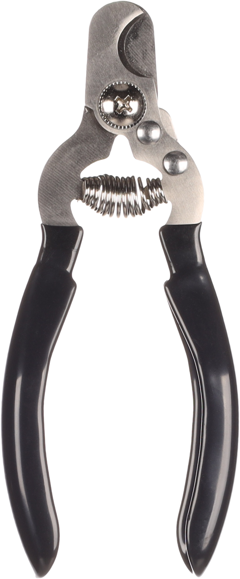 Flamingo Nail clipper Dino