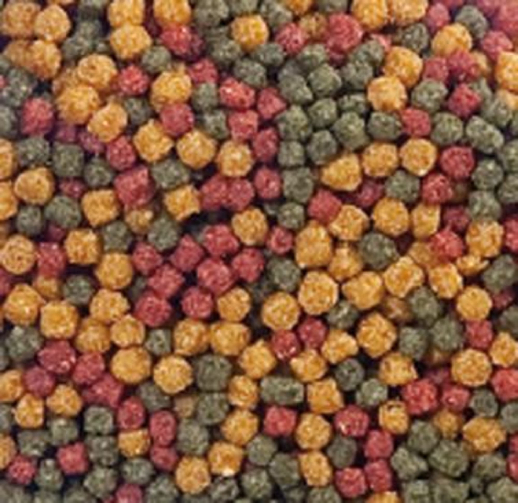 Flamingo Pond food Beige Green Red