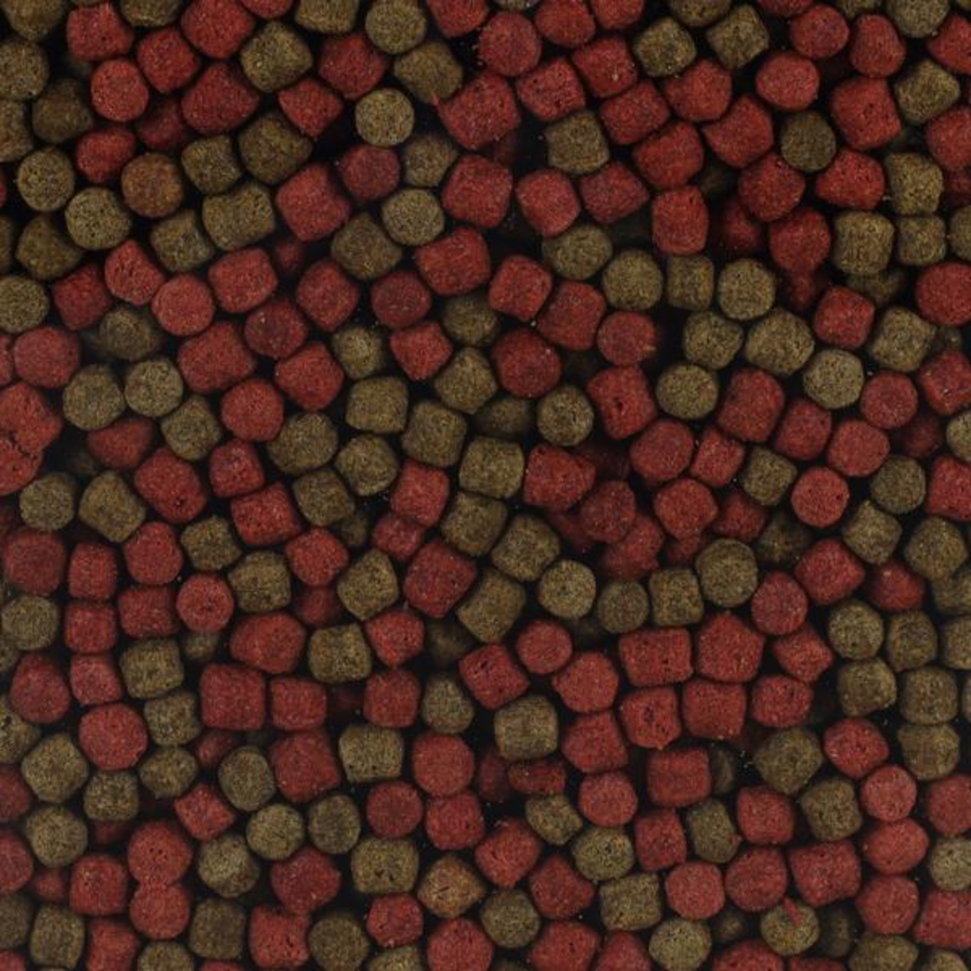 Flamingo Pond food Green Red