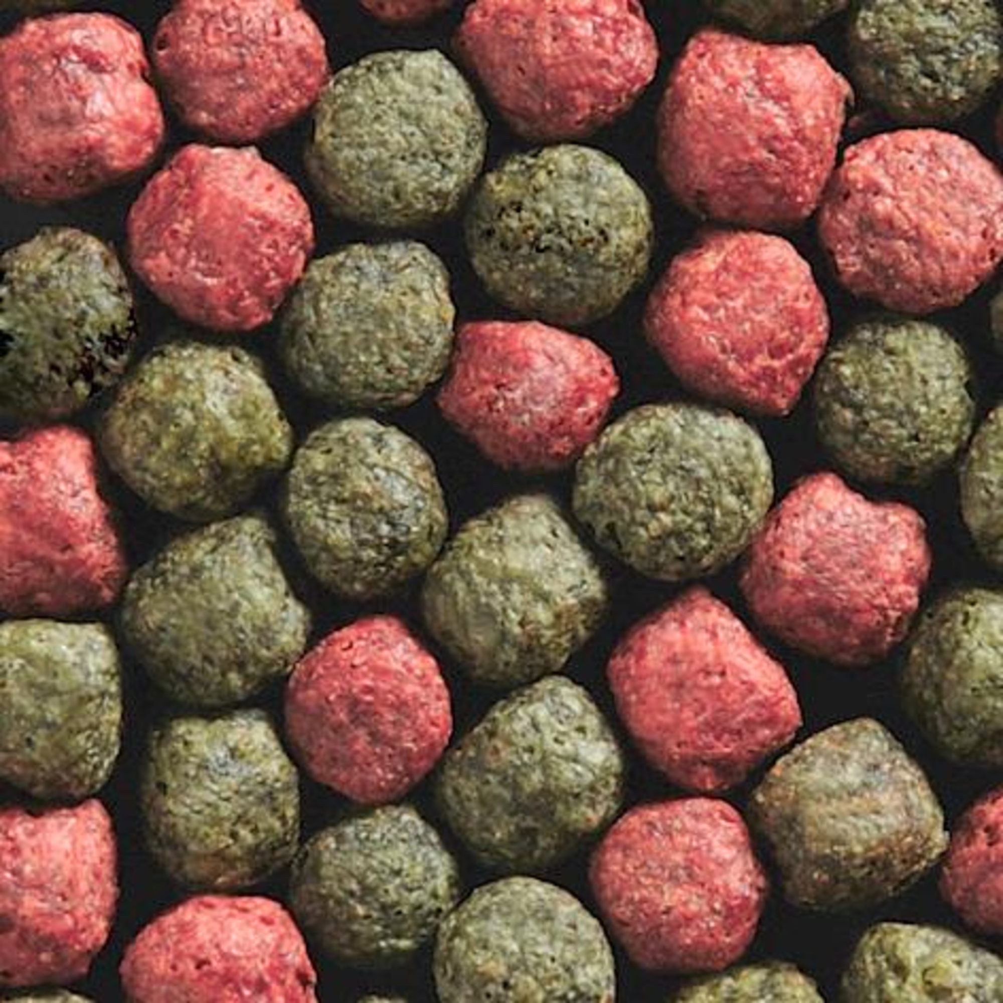 Flamingo Mangimi stagno Verde Rosso