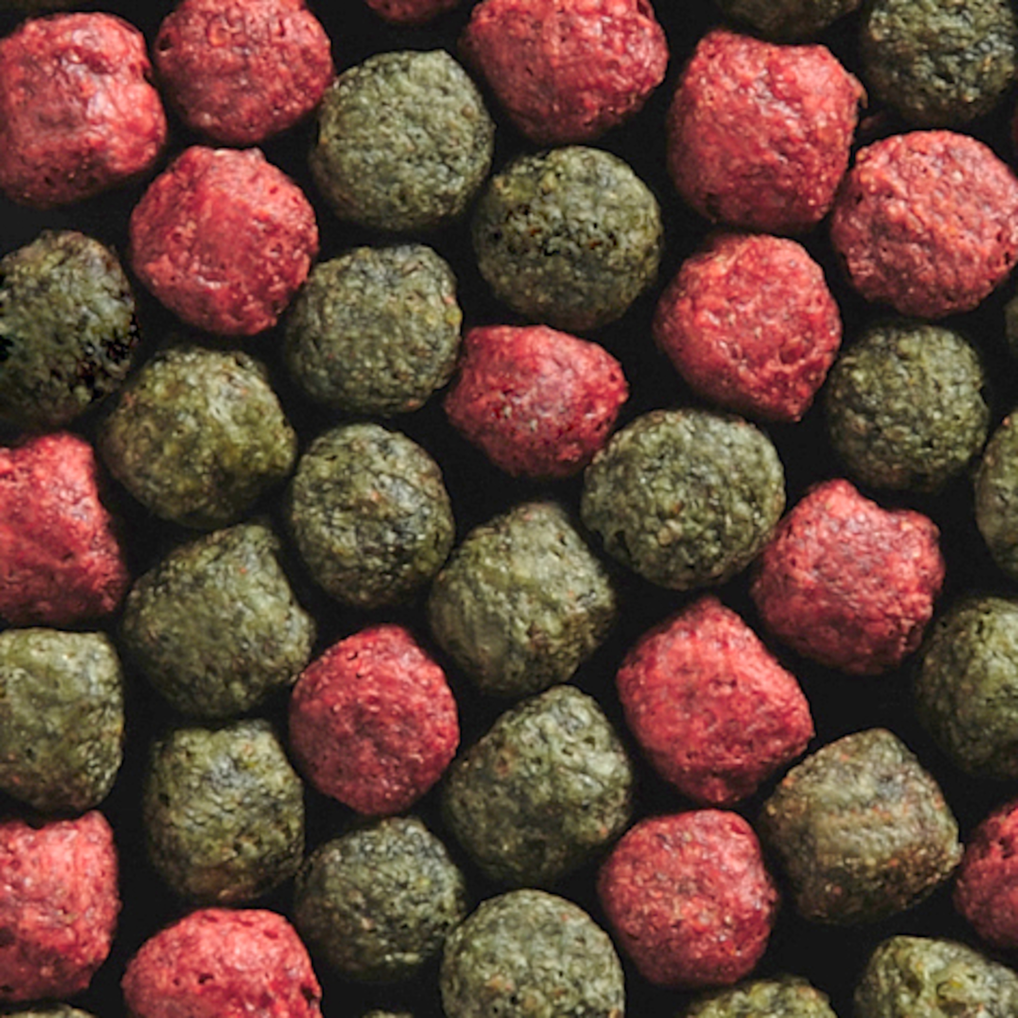 Flamingo Pond food Green Red