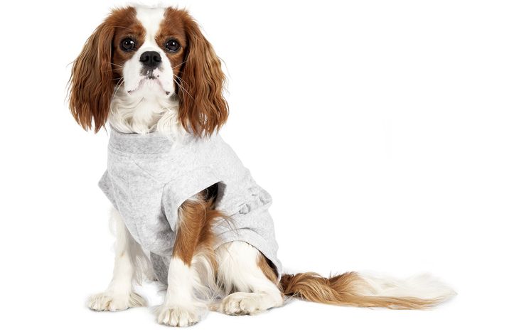 Flamingo Safety body Halli