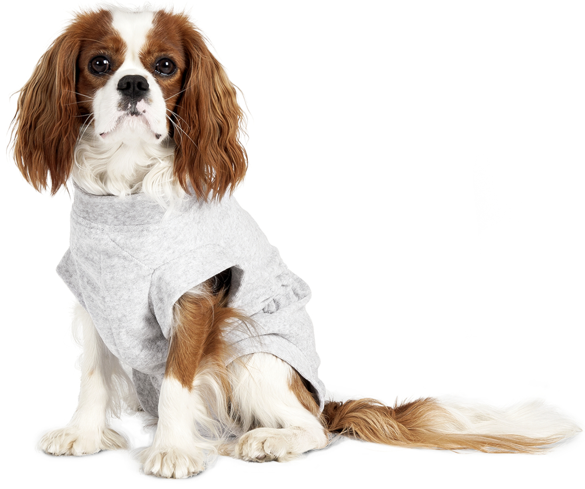 Flamingo Safety body Halli