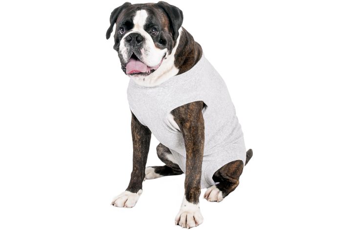 Flamingo Safety body Halli