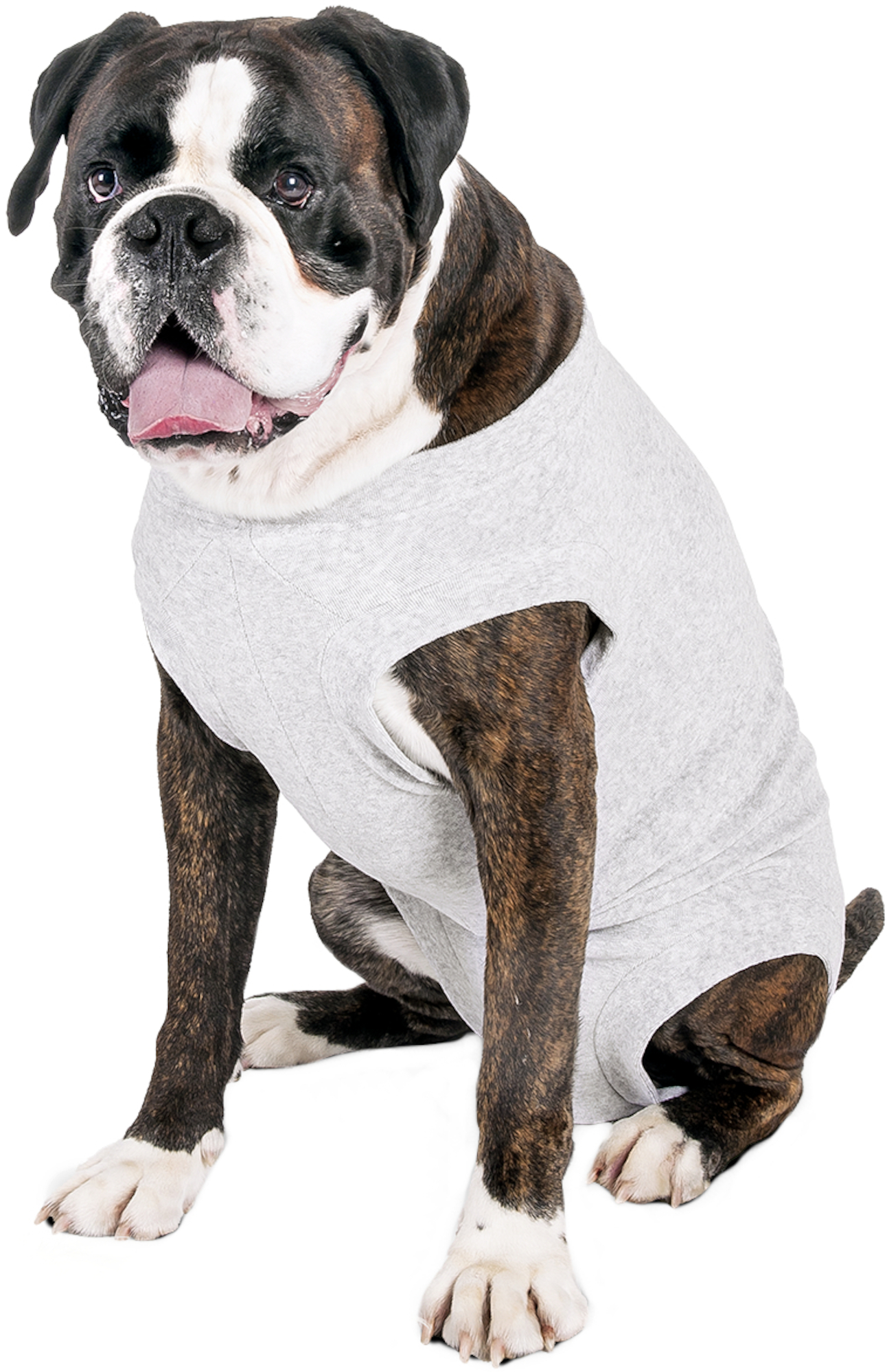 Flamingo Safety body Halli