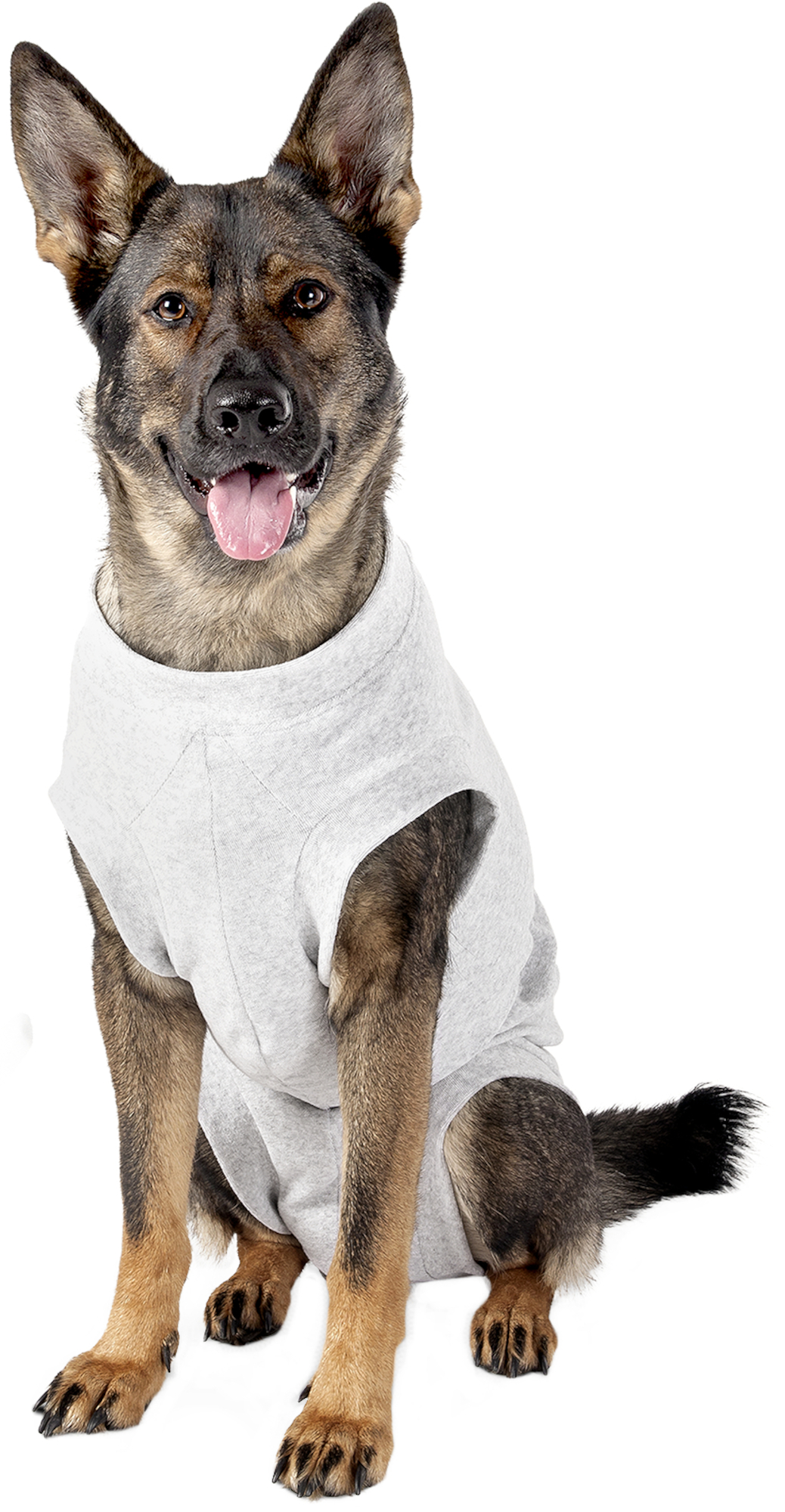 Flamingo Safety body Halli