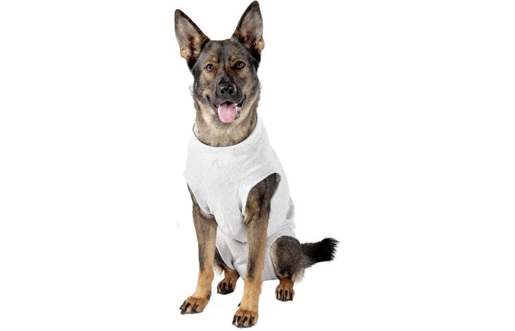 Flamingo Safety body Halli