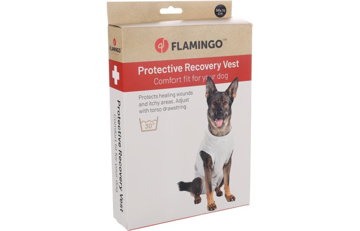 Flamingo Body Safety