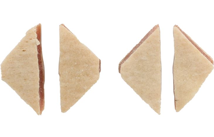 Flamingo Snacks Hapki Small blocks with chicken & Fish 