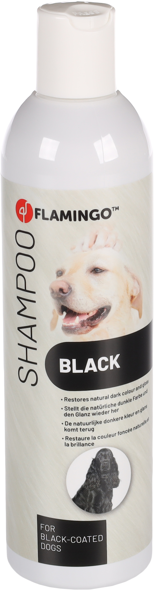 Dog shampoo for black 2024 coats