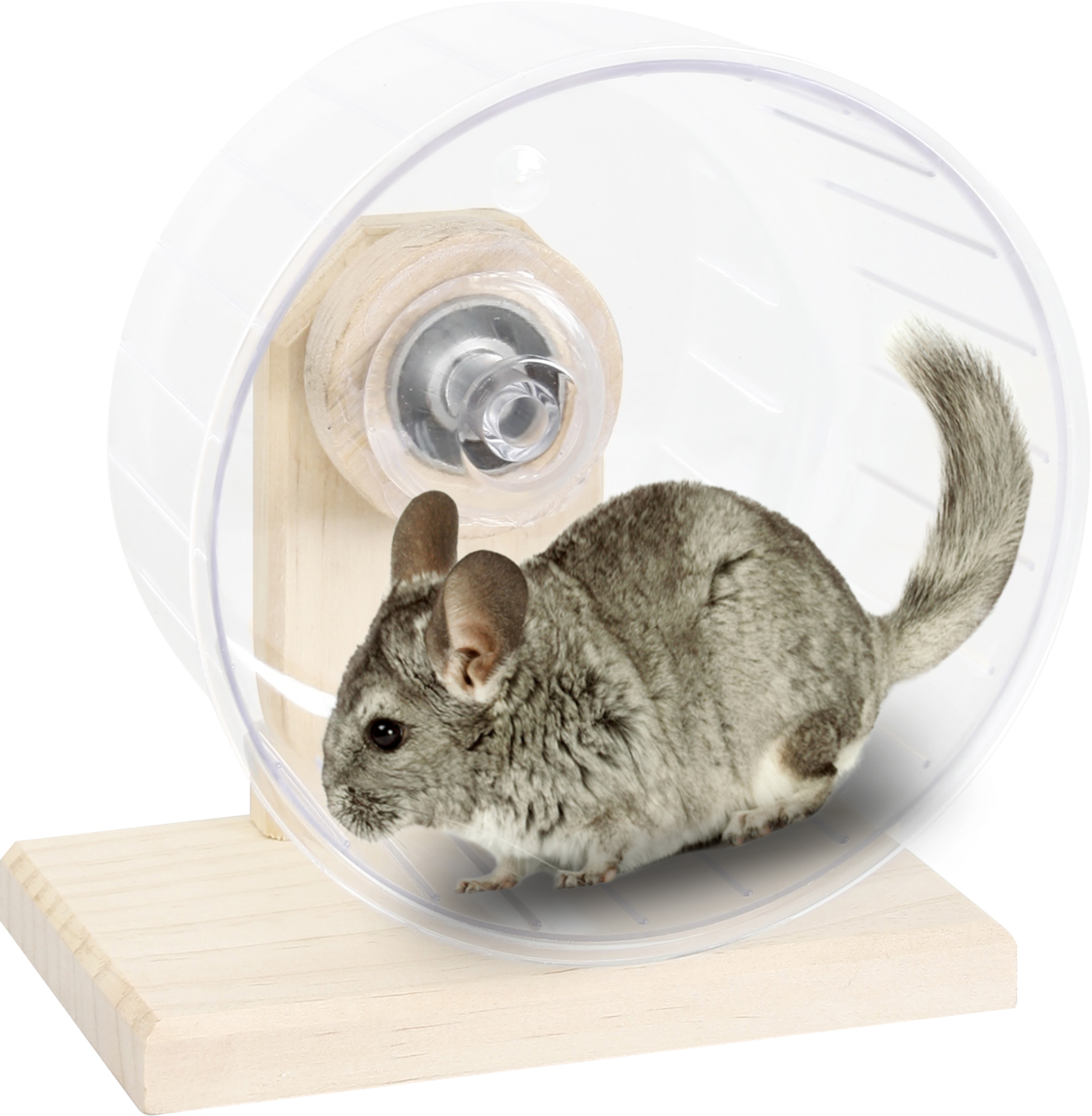 Chinchilla hotsell exercise wheel