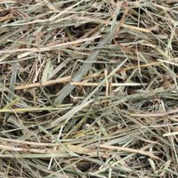 Flamingo Snacks Meadow hay 
