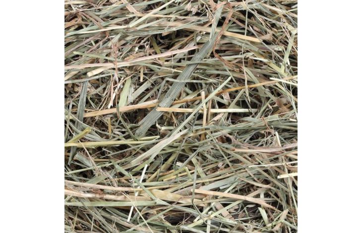 Flamingo Snacks Meadow hay 