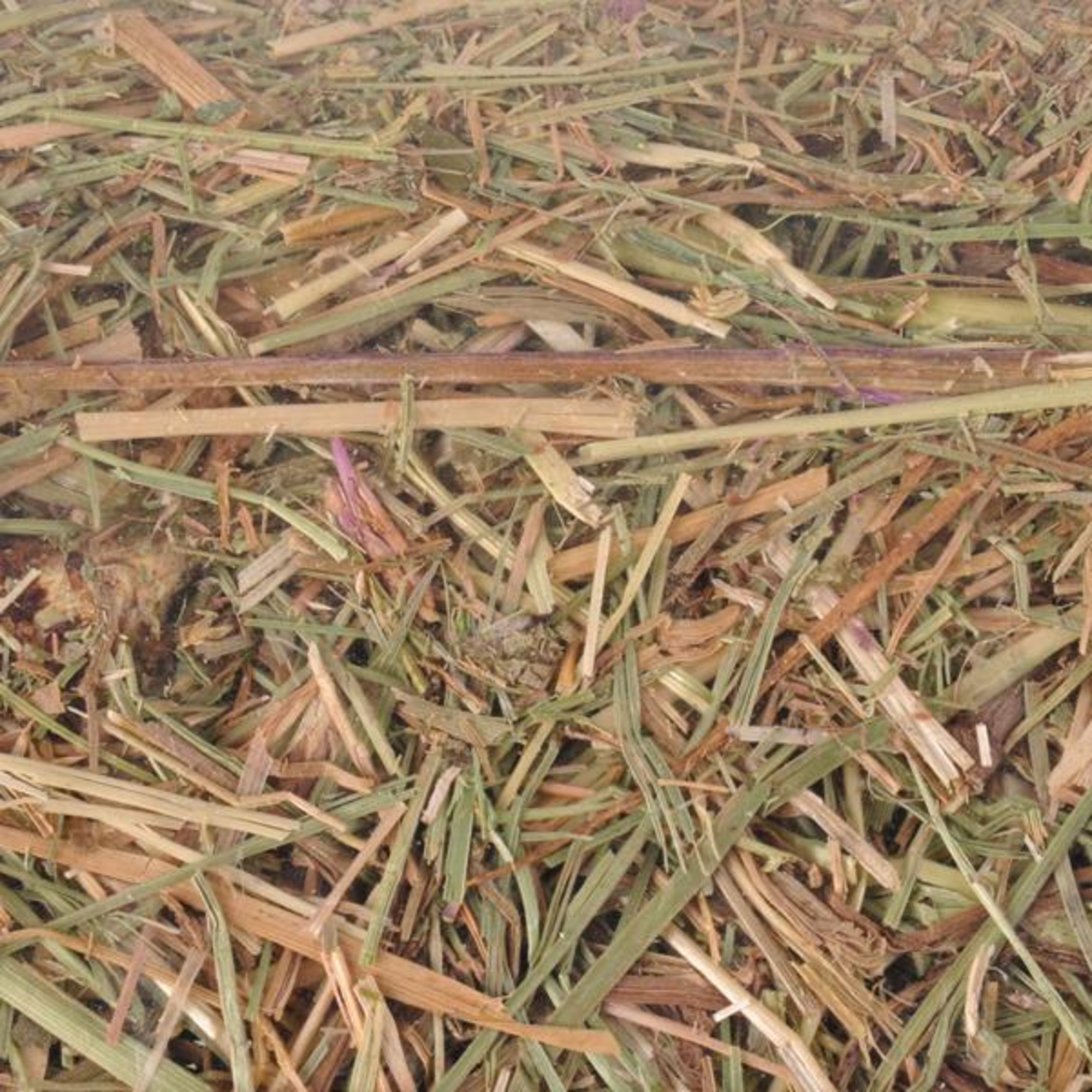 Flamingo Snacks Meadow hay 