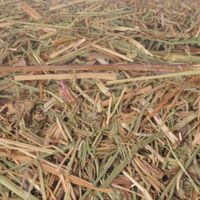 Flamingo Snacks Meadow hay 