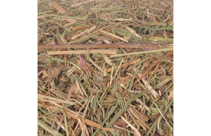 Flamingo Snacks Meadow hay 