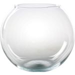 Fischglas Transparent