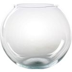 Fish bowl Transparent