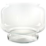 Fish bowl Neptune Transparent