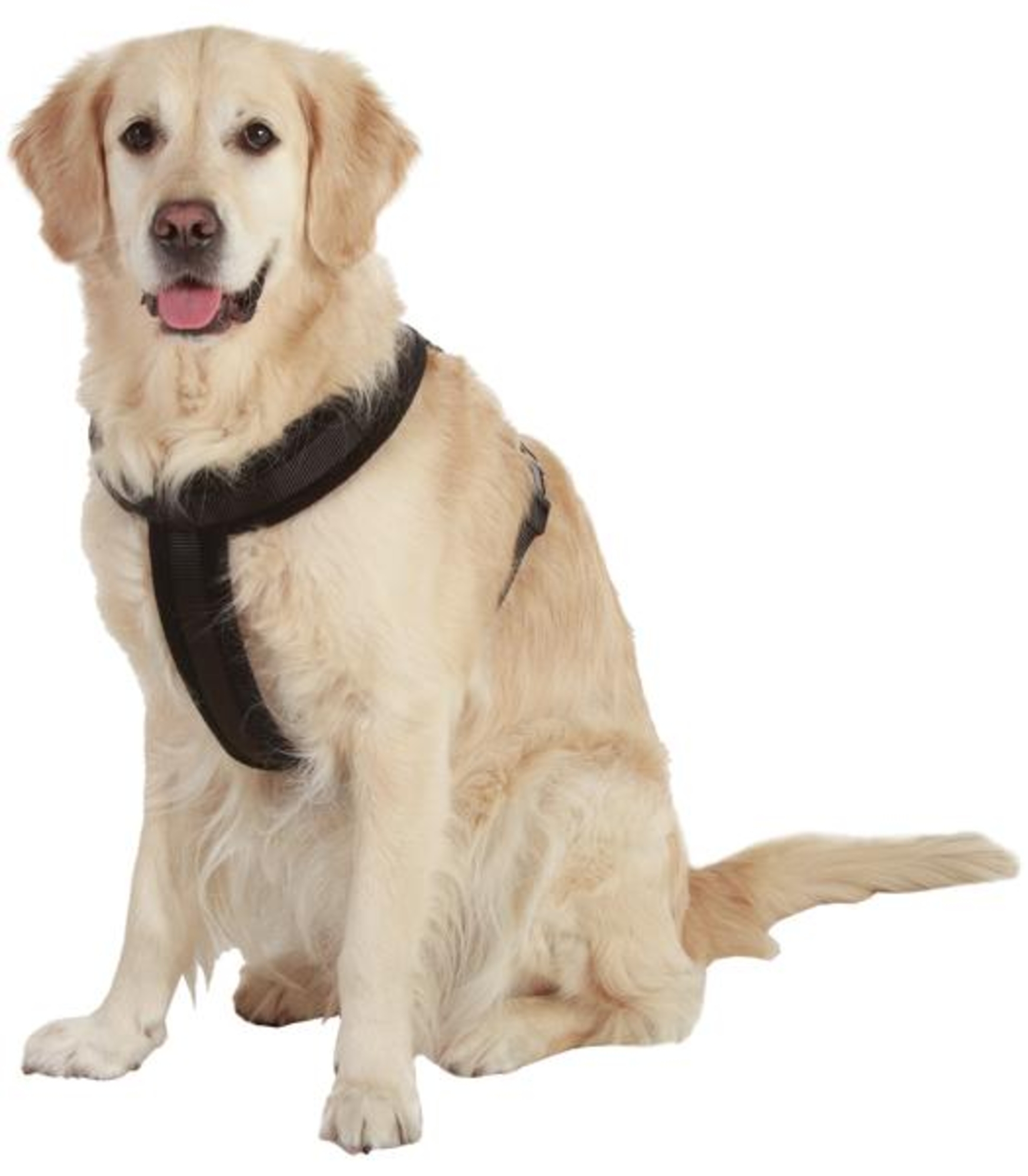 Flamingo Harness Cross Palos Black