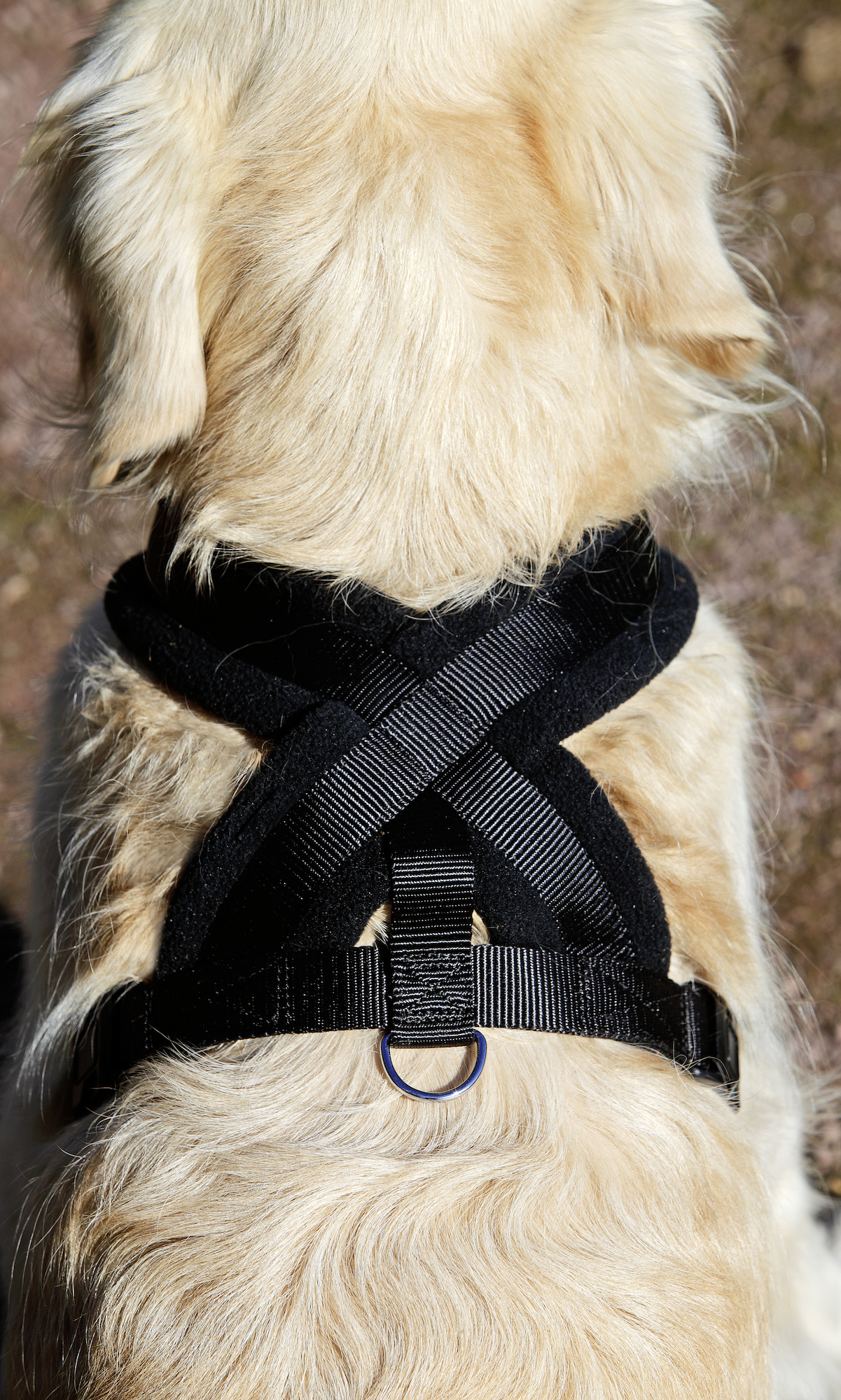 Flamingo Harness Cross Palos Black