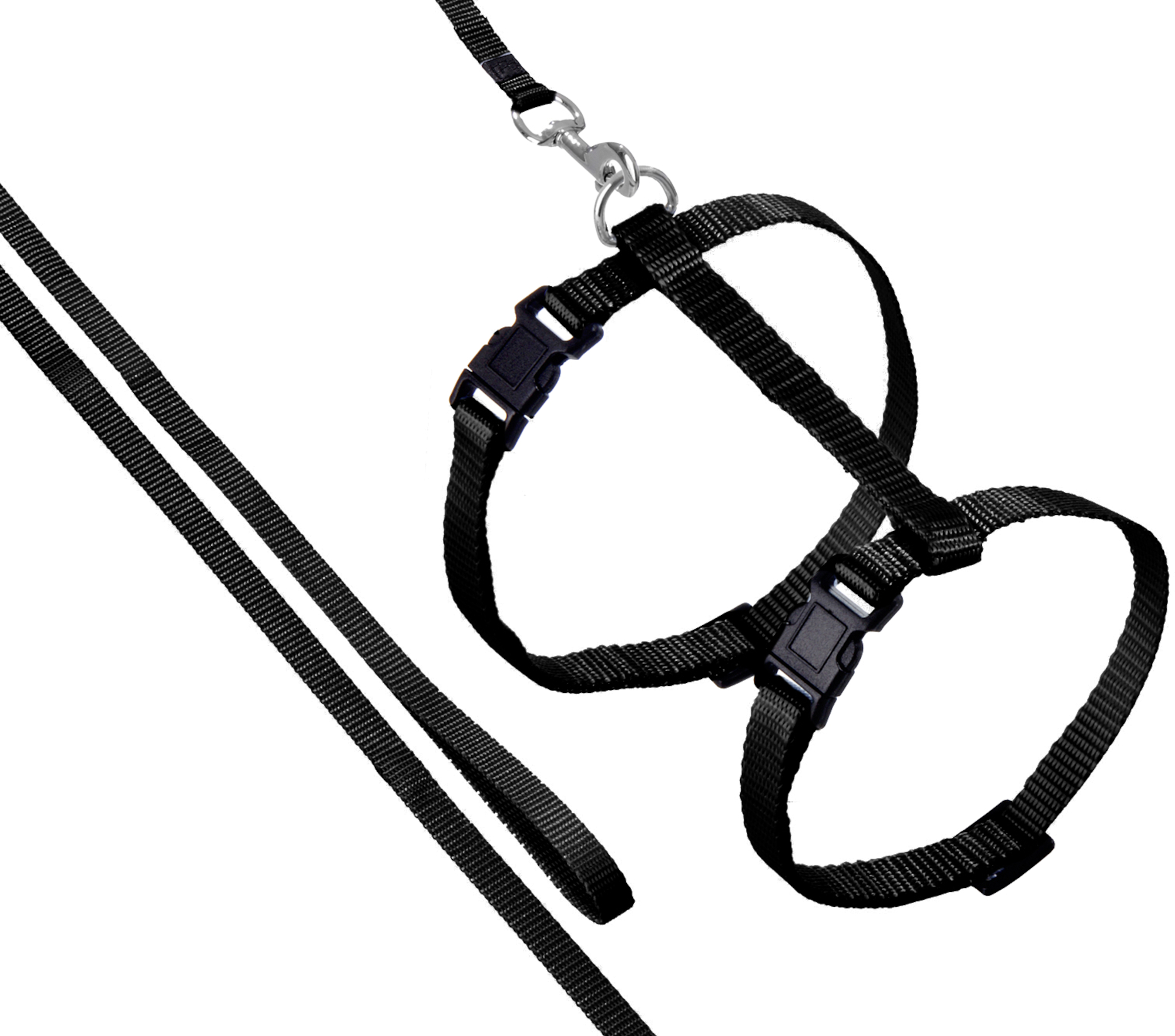 Flamingo Harness with leash Ziggi Black