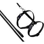 Harness with leash Ziggi Black
