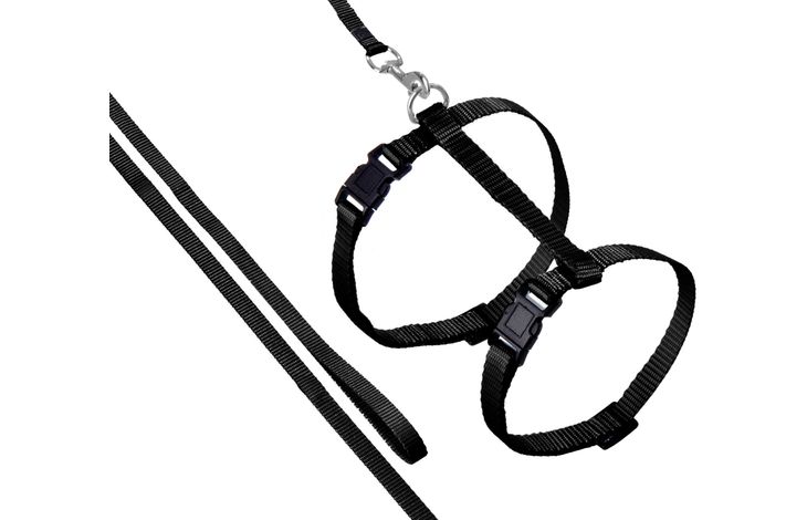 Flamingo Harness with leash Ziggi Black