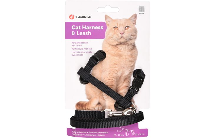 Flamingo Harness with leash Ziggi Black