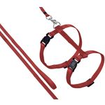 Harnais avec laisse Ziggi Rouge