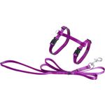 Harness with leash Ziggi Pink