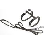 Harness with leash Ziggi Taupe