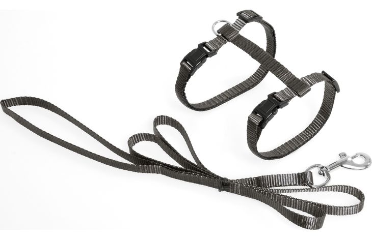 Flamingo Harnas met looplijn Ziggi Taupe