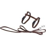 Harness with leash Ziggi Brown