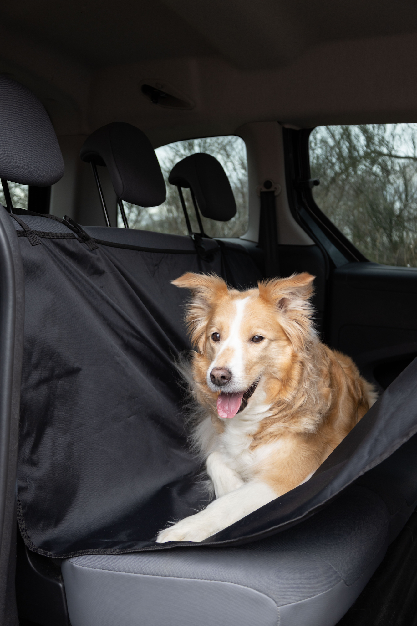 Flamingo Car seat cover Dex Can be split in two (for in the car) with headrest attachment Back seat Black