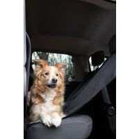 Flamingo Car seat cover Dex Can be split in two (for in the car) with headrest attachment Back seat Black