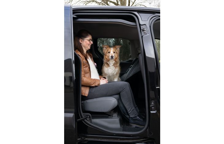 Flamingo Car seat cover Dex Back seat Black