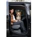 Car seat cover Dex Back seat (of the car) Black