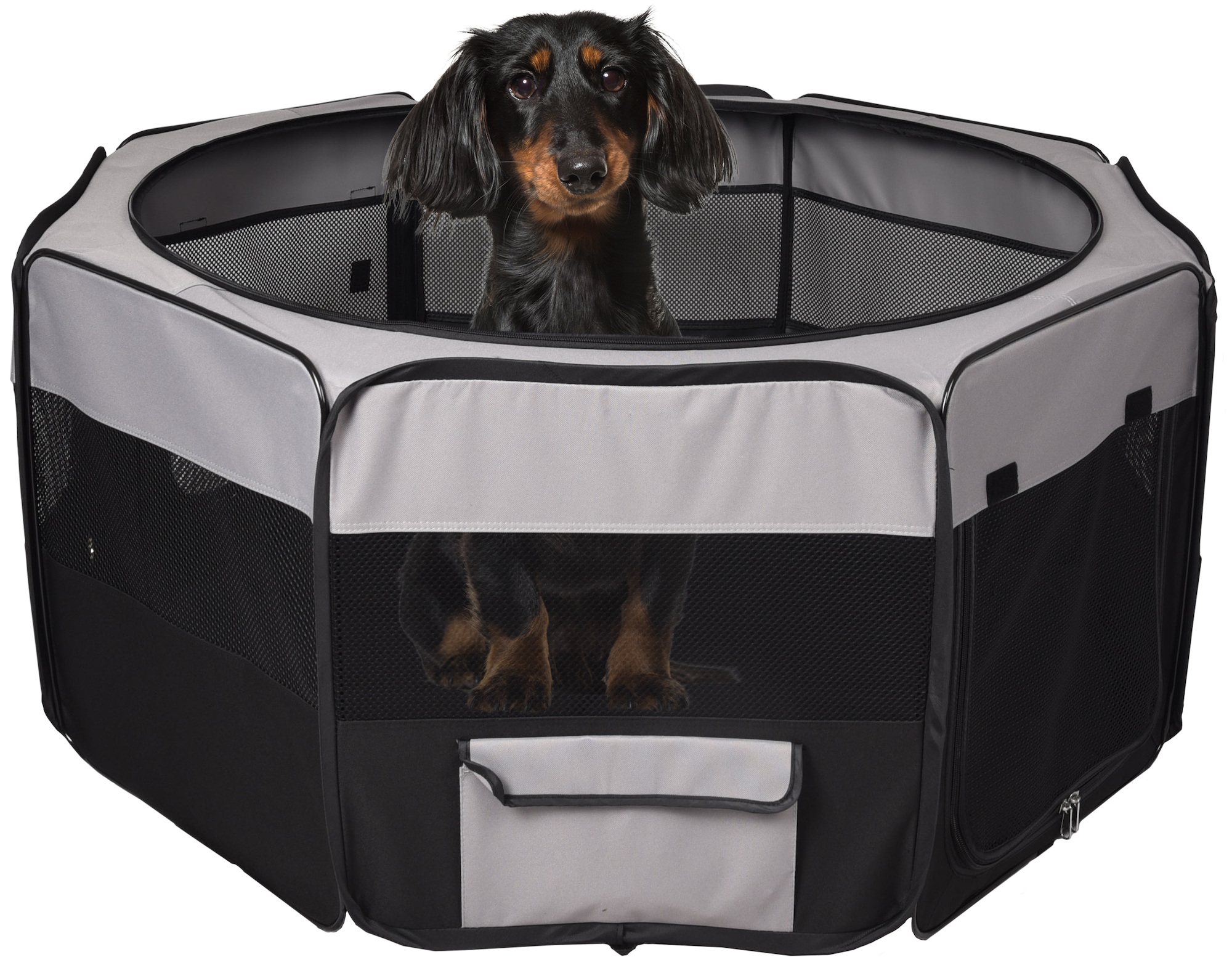 Flamingo Run Flavio Black