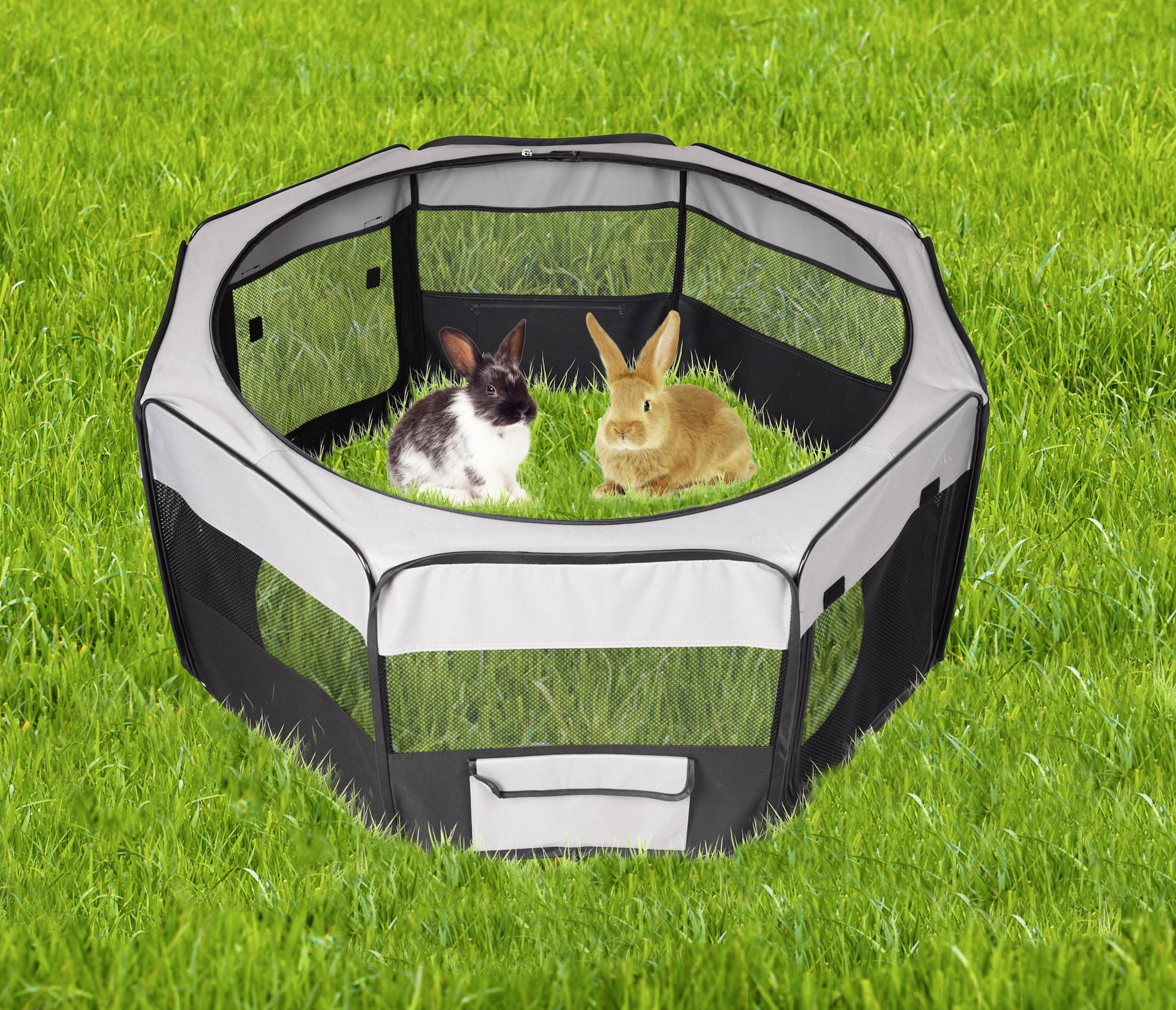 Flamingo Run Flavio Black